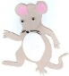 wMaus