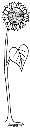 Logo Sonnenblume Familiengottesdienst Forstinning