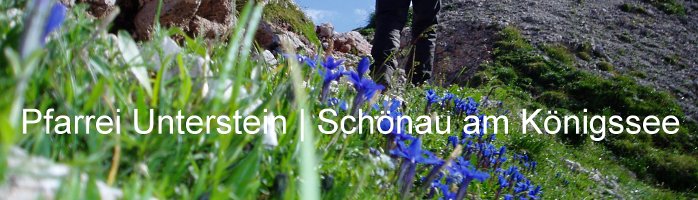 kopfgraphik01-schusternagei