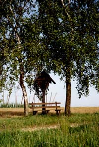 Schulweg