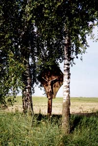 SHB beim Kreuzer