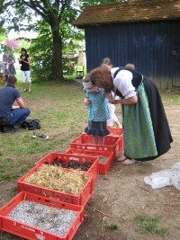 Fest 2011