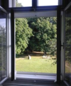 Das Fenster öffnet den Blick