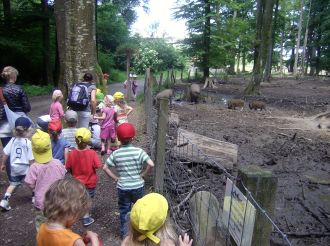 kiga Rita Wildschweine Ausflug