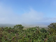 Galapagos Insel