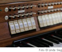 LS_IMG_7544b_200_wC