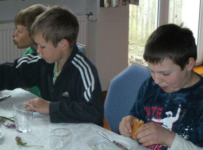 Bild16