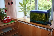 Aquarium