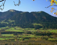 Bild vom Blomberg