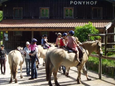 Ponyhof