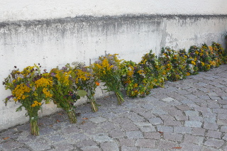 Kräuterbuschen03