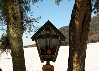 Pestkreuz Breitmoos