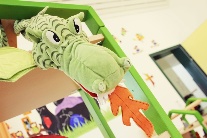 Drache