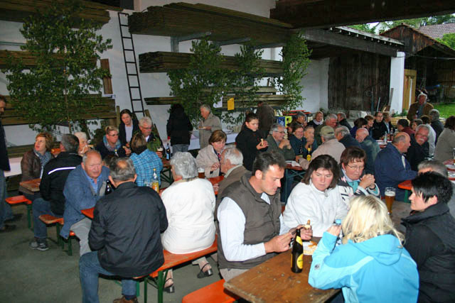 Patronzinium Wang 2013