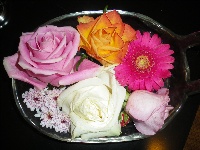 Blumen gemischt