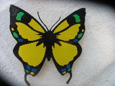Schmetterling