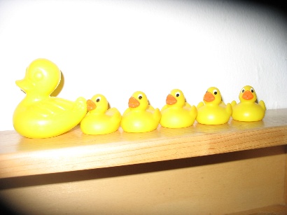 Enten Kiga Ordnung