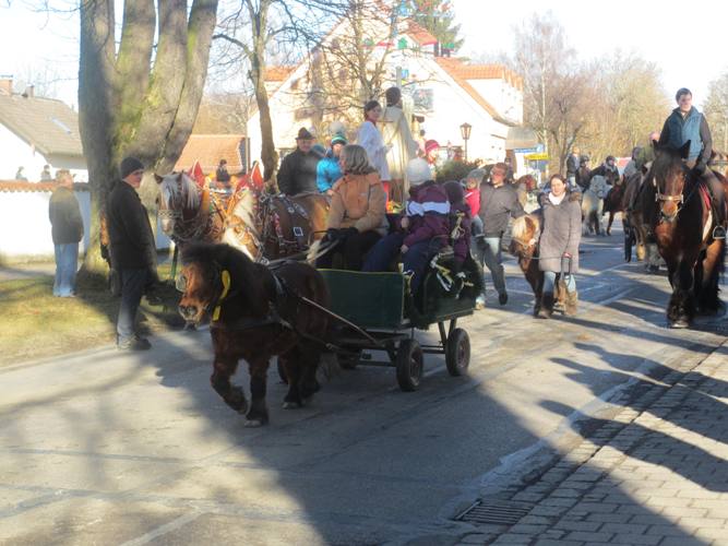 Pferdesegnung 2013