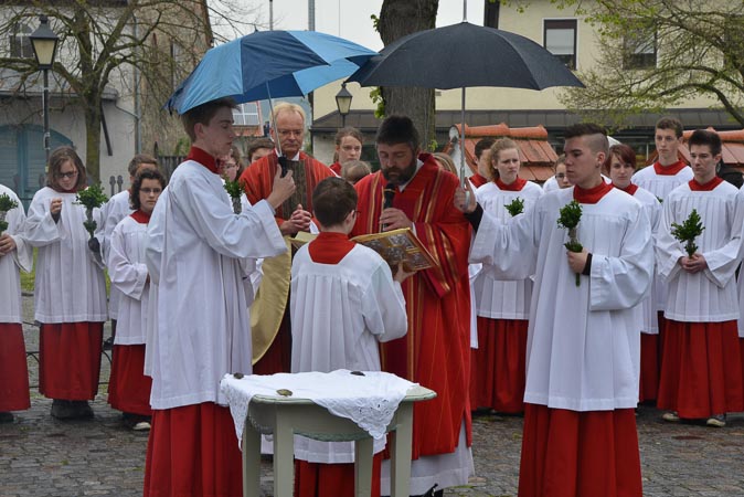 bild11