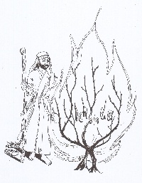 Mose Dornbusch