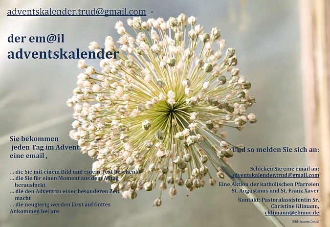 Adventskalender_2014