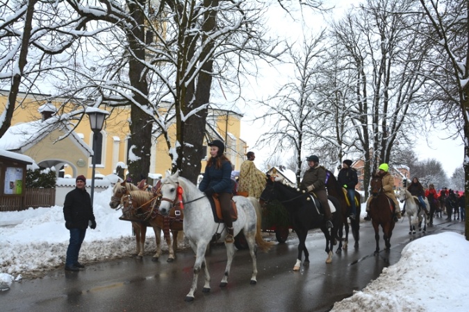 Pferdesegnung 2014