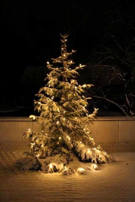 Weihnachtliche Klänge