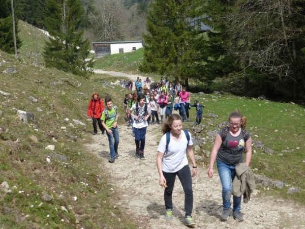 Bild1