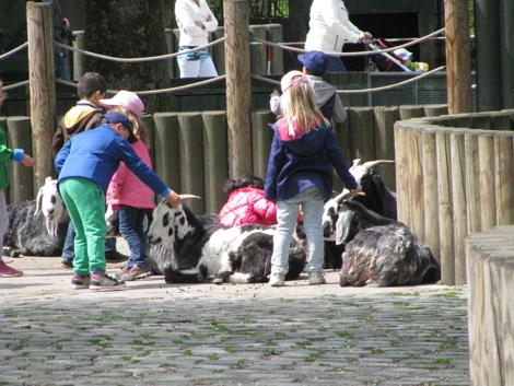Streichelnde Kinder
