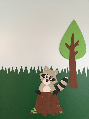 Waschbär