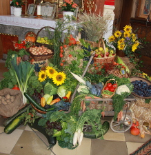 StJakErnte1502