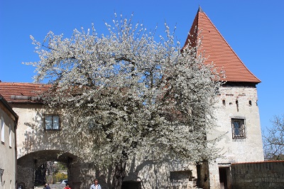 Frühling