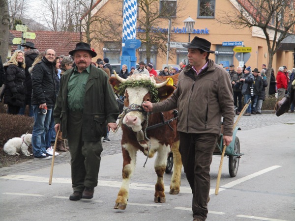 Pferdesegnung