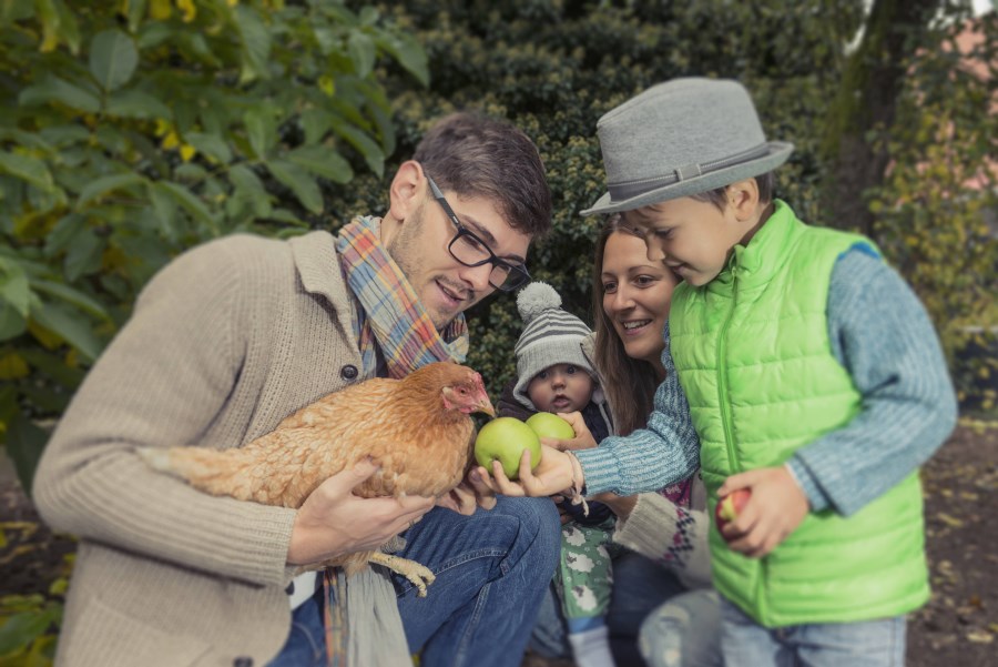 Familie in Natur mit Huhn und Apfel