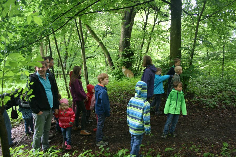 Wald- und Wiesen-Gottesdienst 2016
