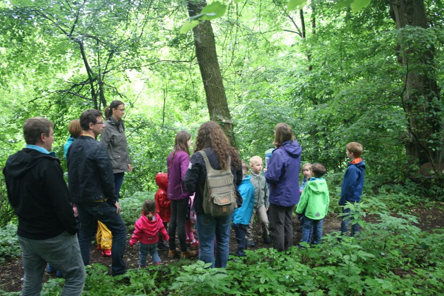 Wald- und Wiesen-Gottesdienst 2016