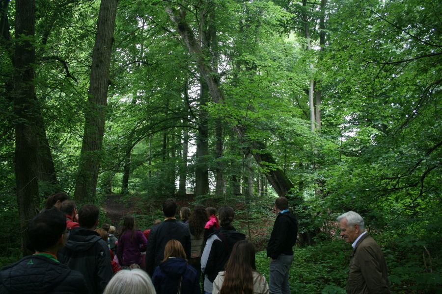 Wald- und Wiesen-Gottesdienst 2016