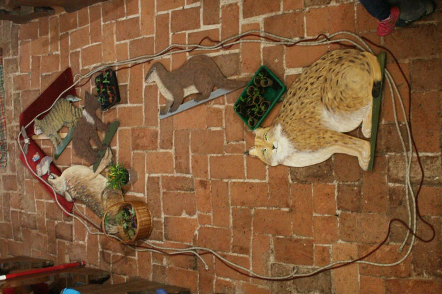 Wald- und Wiesen-Gottesdienst 2016