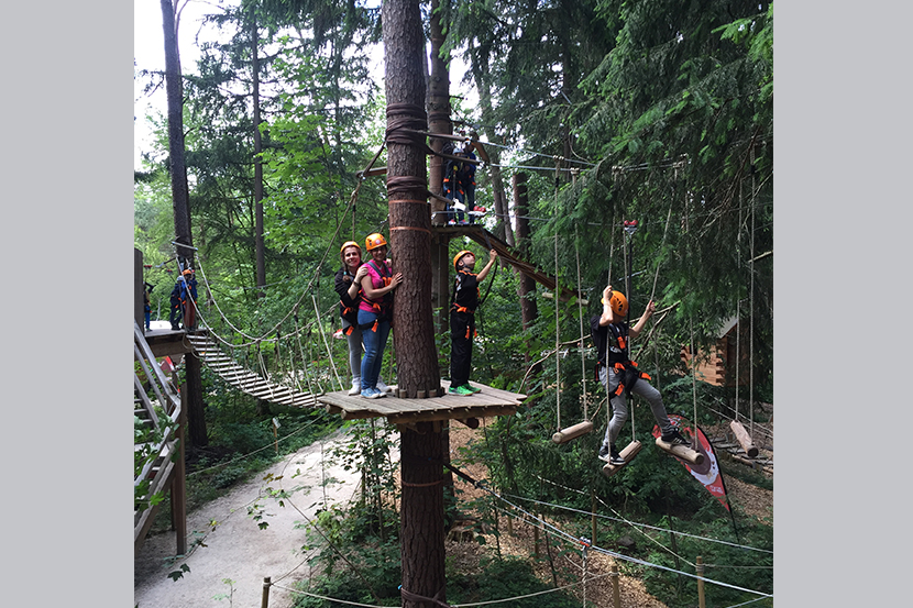 Kletterwald