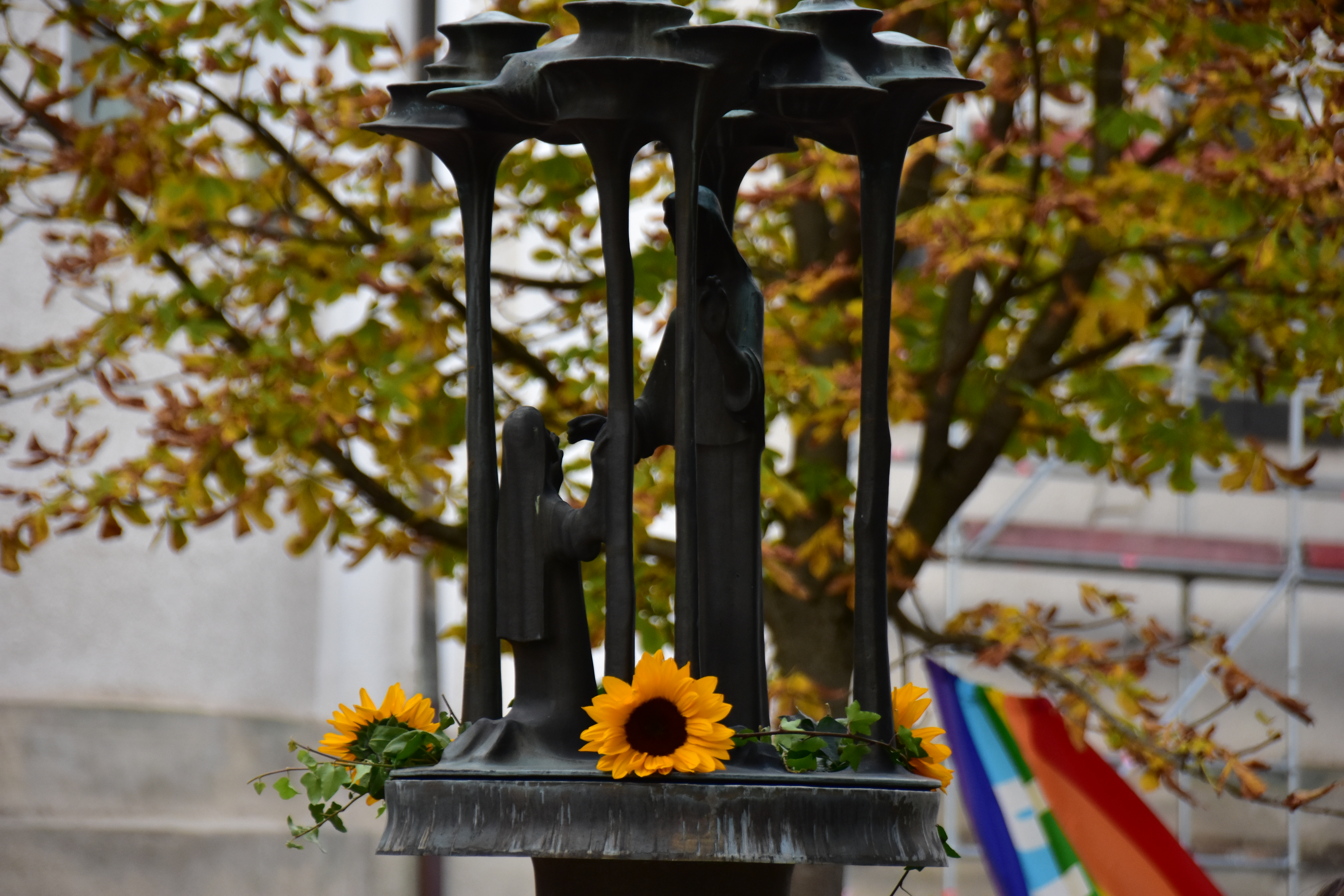 Bild 18