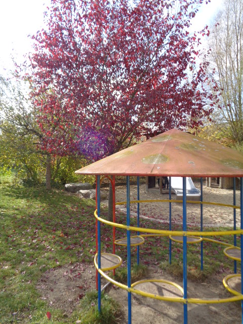 Garten 1