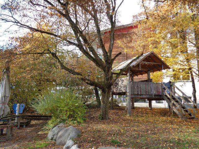 Garten 3