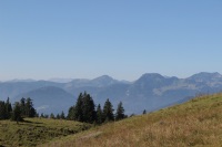 IMG_2260