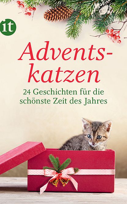 Advent, Katzen