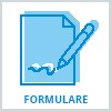 Icon Formulare