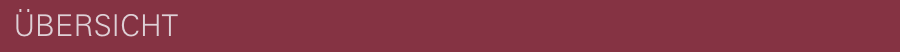 balken-rot-uebersicht-900x50