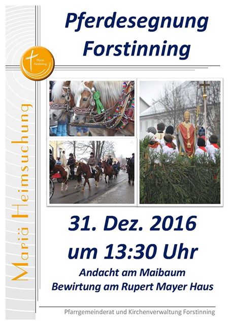 Pferdesegnung