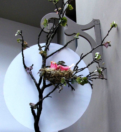 AM Nest