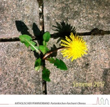 Sommerpfarrbrief 2017 Titel