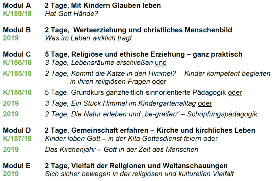 Fachpädagogin Modulaufbau 2018